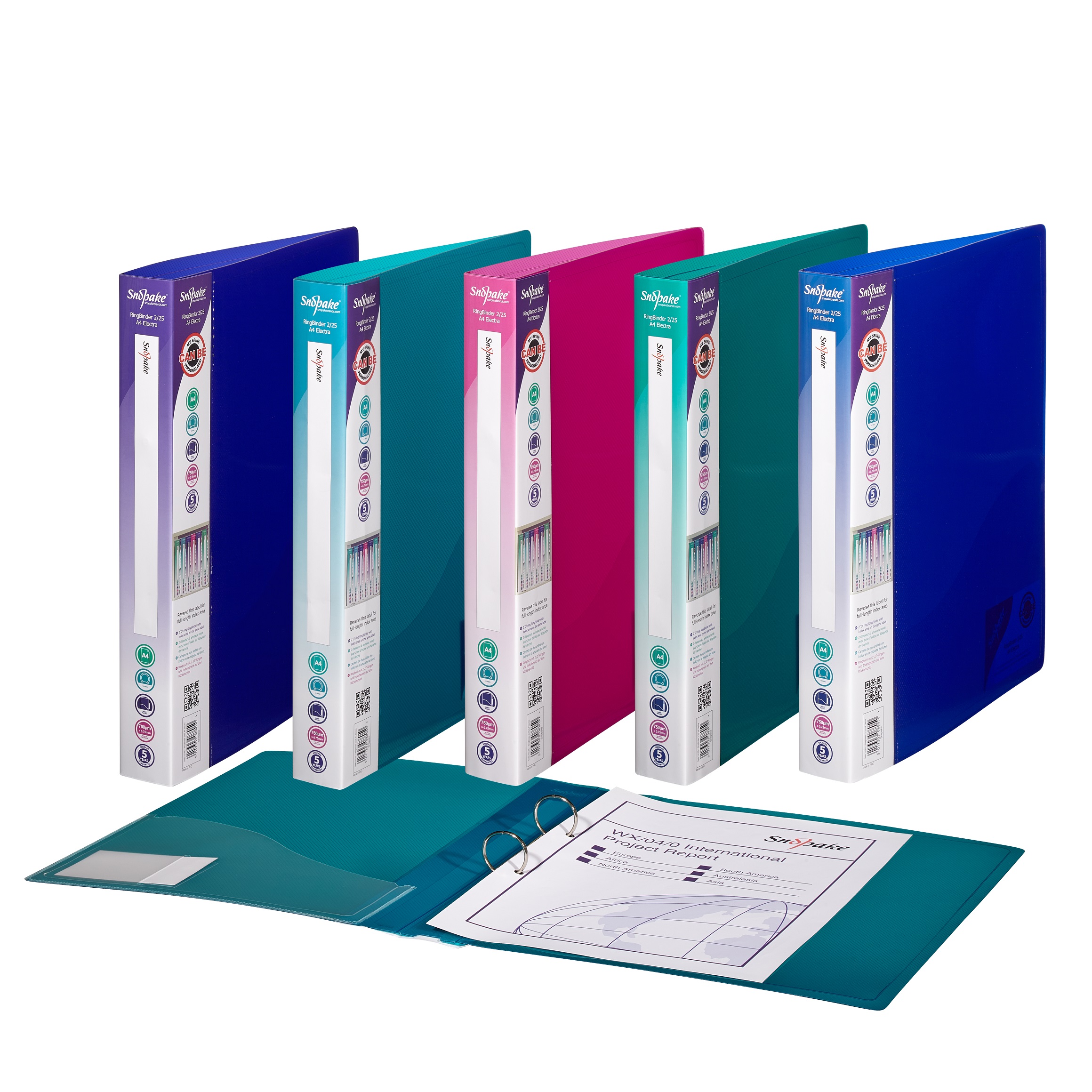 Ring Binder 2Ring A4 Astd PK10