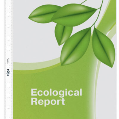 Rexel Ecodesk Filing Pockets (PK25)