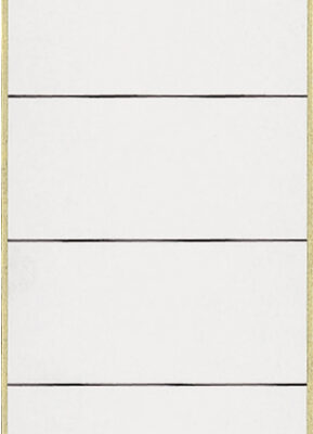 Leitz LAF Spine Label 61.5x192 GR PK10