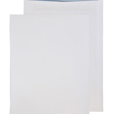 WT Self Seal Pocket B4 100gsm PK250