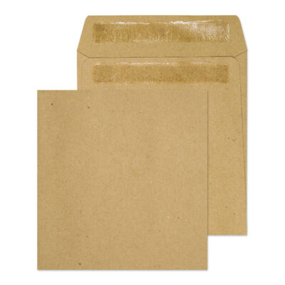 ValueX Wage Envelope S/S ML PK1000