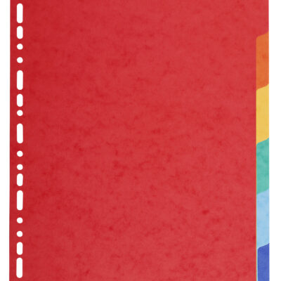 Forever Vivid A4+ Dividers 6 Part
