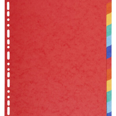 Forever Vivid A4+ Dividers 12 Part