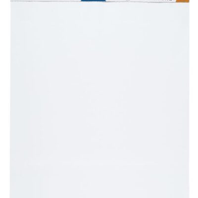 ValueX Meeting Pad Ex Sticky 792x635 PK2