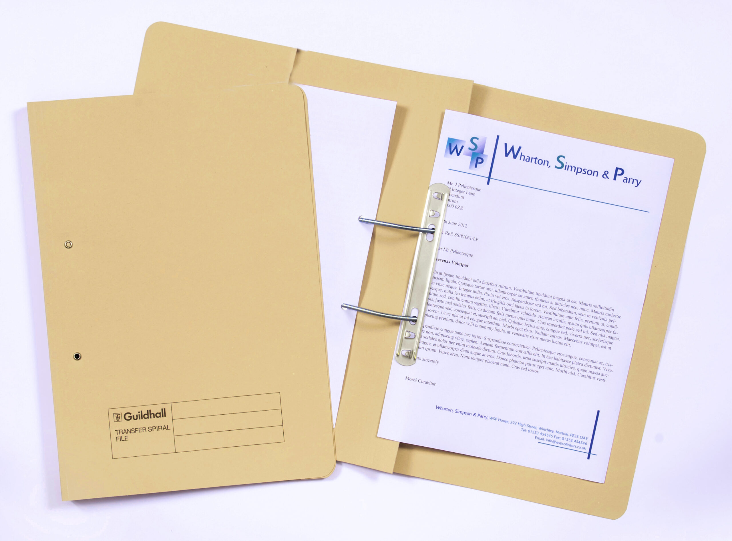 Ghall Trans Spring File Pocket YW PK25