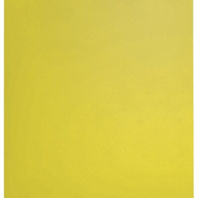 Leitz Recycle Display Book 20 Pockets YW