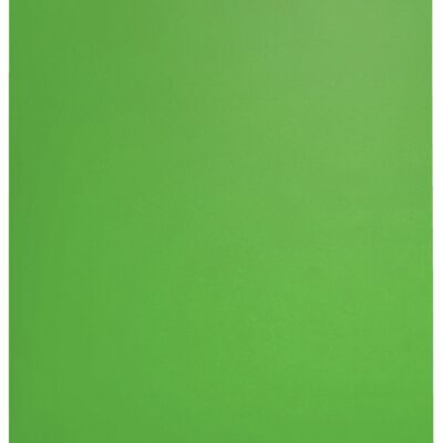 Leitz Recycle Display Book 20 Pockets GN