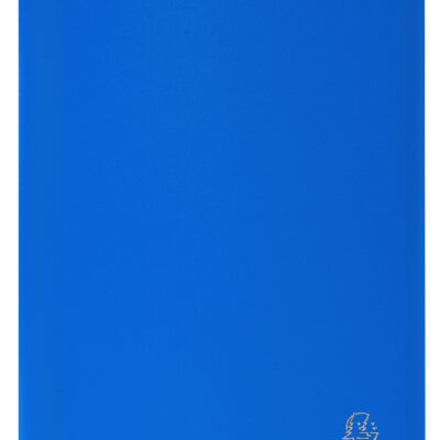 Exacompta Disp Bk Soft Cov A4 20pkt Blue