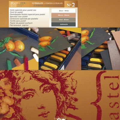 Pastelmat Pad No.2 30x40cm 12sh 360gsm