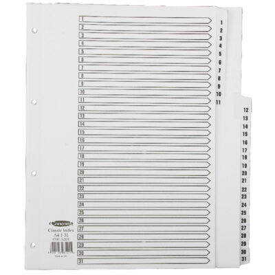 Classic Index A4 Set 1-31 Clear Mylar