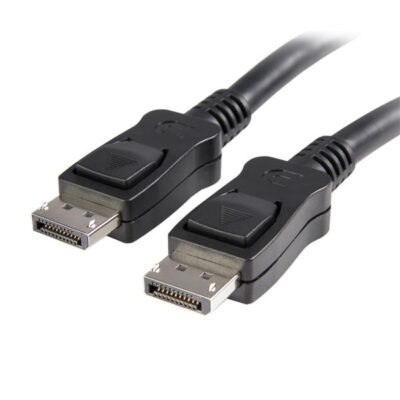 1m DisplayPort Cable