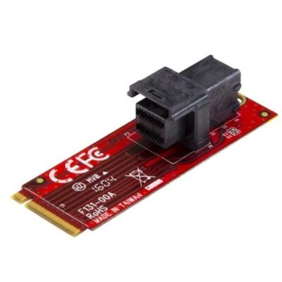 U.2 to M.2 Adapter for U.2 NVMe SSD