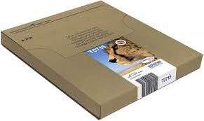 EPSON MULTIPACK 4 Colours T071 Easymail