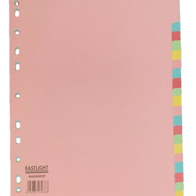 ValueX Divider 20 Part A4 Card