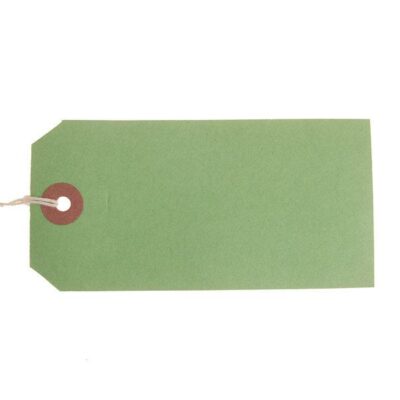 ValueX Strung Tag 120x60mm GN PK1000