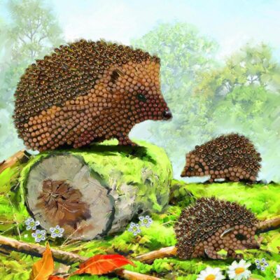 Crystal Art Happy Hedgehog 18x18cm Card