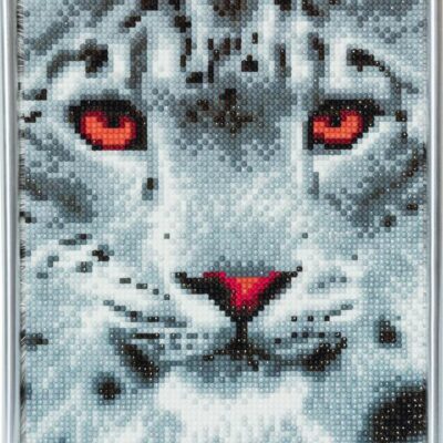 CA Snow Leopard 21x25cm Picture Frame