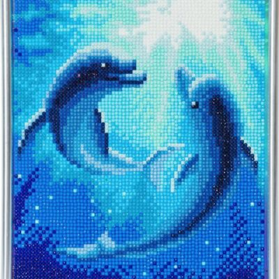 CA Dolphin Dance 21x25cm Picture Frame