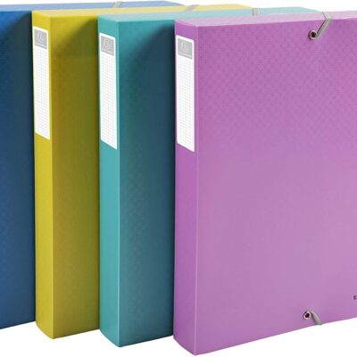 Forever Yng Box File 40mm PP Asst PK4