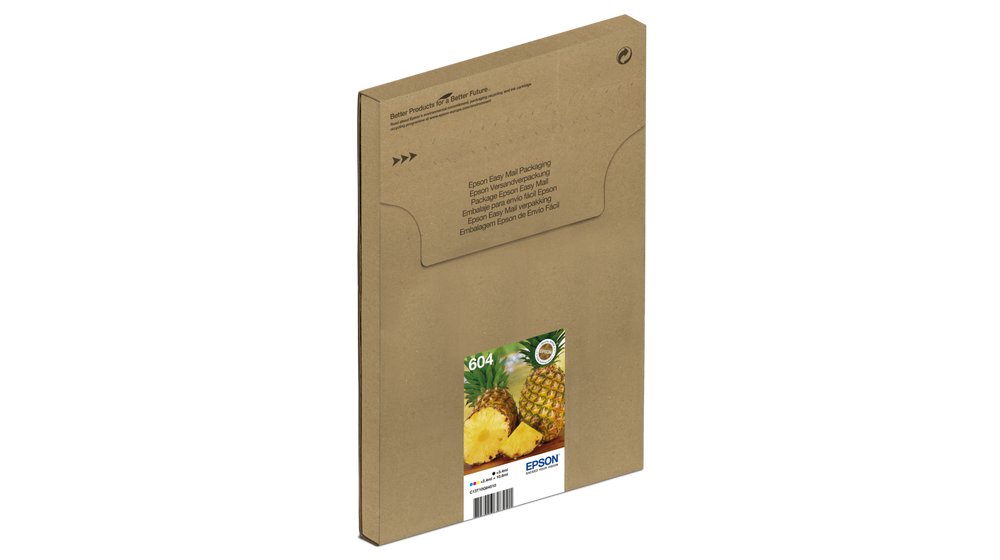 Epson T10G645 604 Mult Pk BKCMY EasyMail