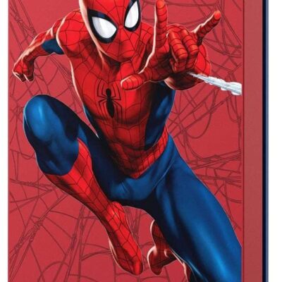 2TB Marvel Spider Man USB3.0 Ext HDD