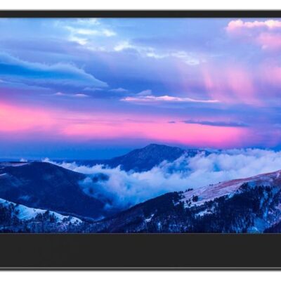 L15 15.6in Full HD IPS USB C Monitor