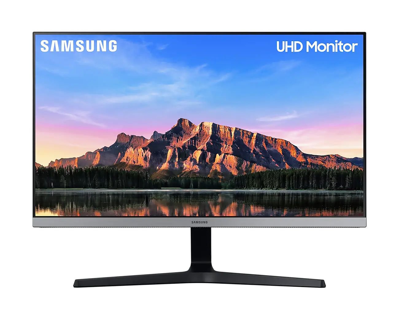 U28R55 28in 4K UHD IPS HDMI DP Monitor