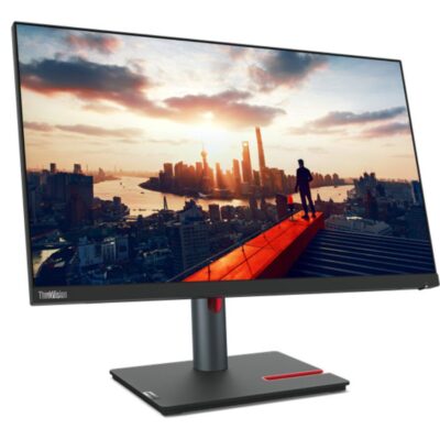 P24h30 23.8in HDMI DP USB Hub Monitor