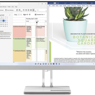 L24e40 23.8in VA HDMI VGA Grey Monitor