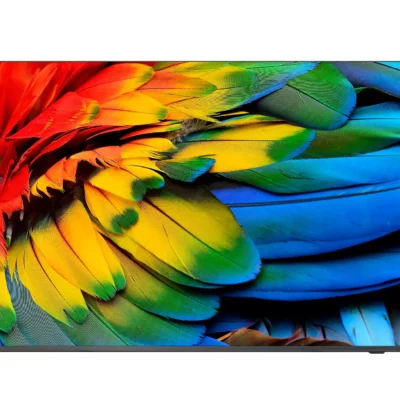HFL6214U 50in 4K HDMI USB Mediasuite TV