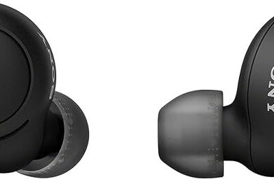 WFC500 Wireless Ear Buds + Charge Case