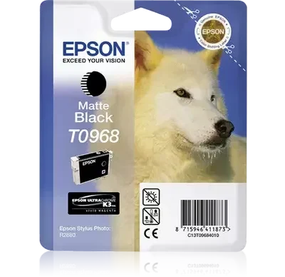 R2880 MATTE BLACK INK