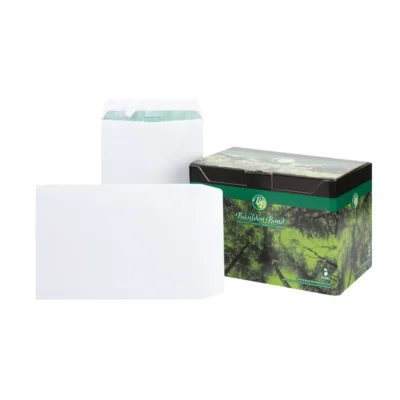 Basildon Bond P&S WT C4 PK250