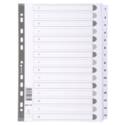 Guildhall 15 Pt Printed Index Clr Mylar