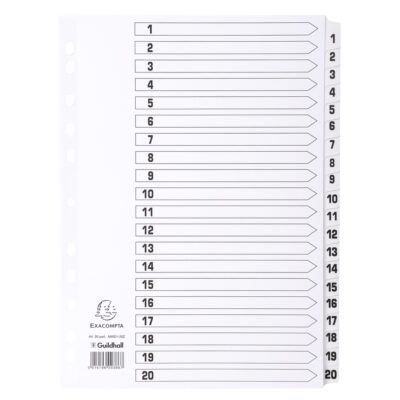 Guildhall 20 Pt Printed Index Clr Mylar