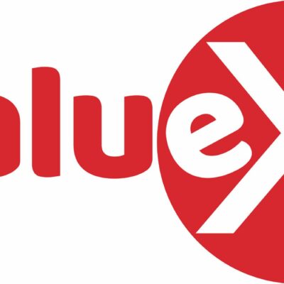 ValueX Year Planner Mounted 2025